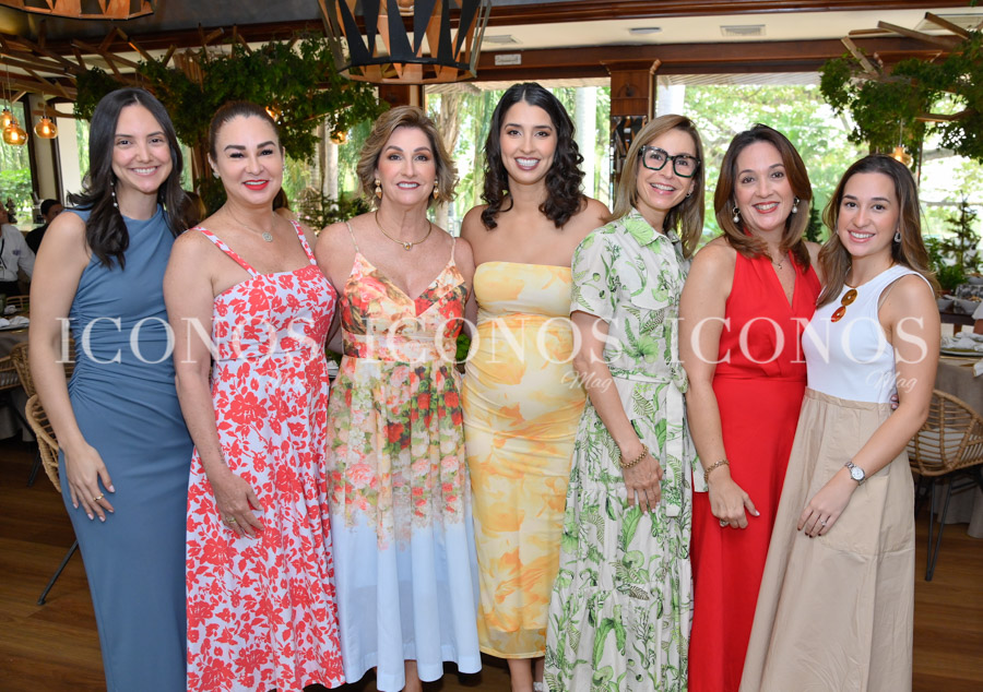 baby shower ivanna molina alvarez de tye