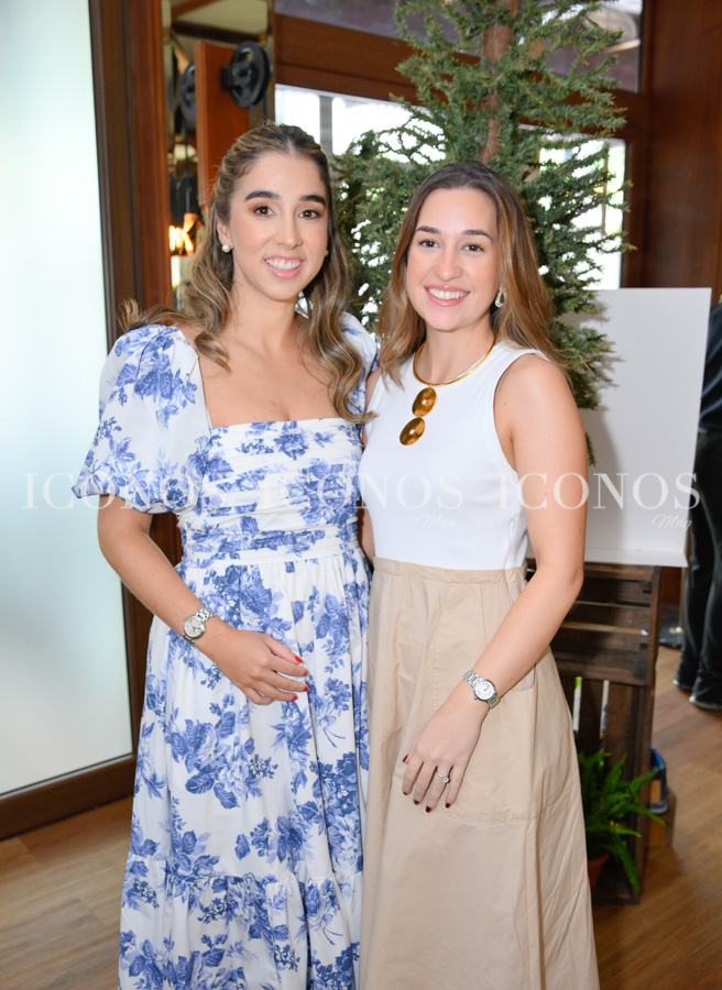 baby shower ivanna molina alvarez de tye