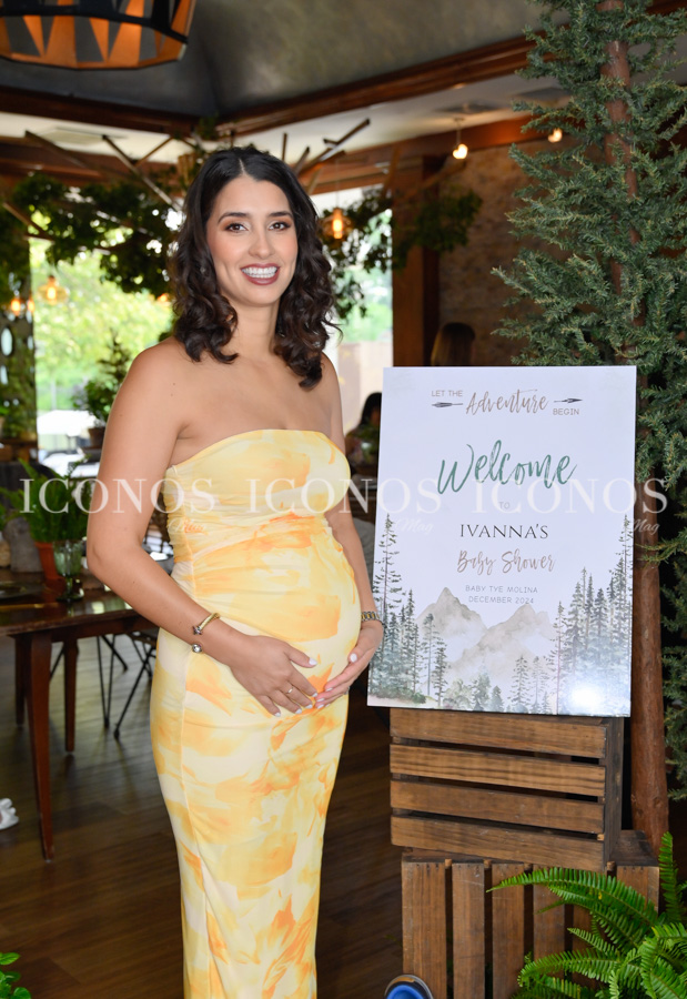 baby shower ivanna molina alvarez de tye