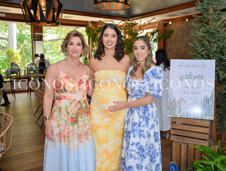 baby shower ivanna molina alvarez de tye