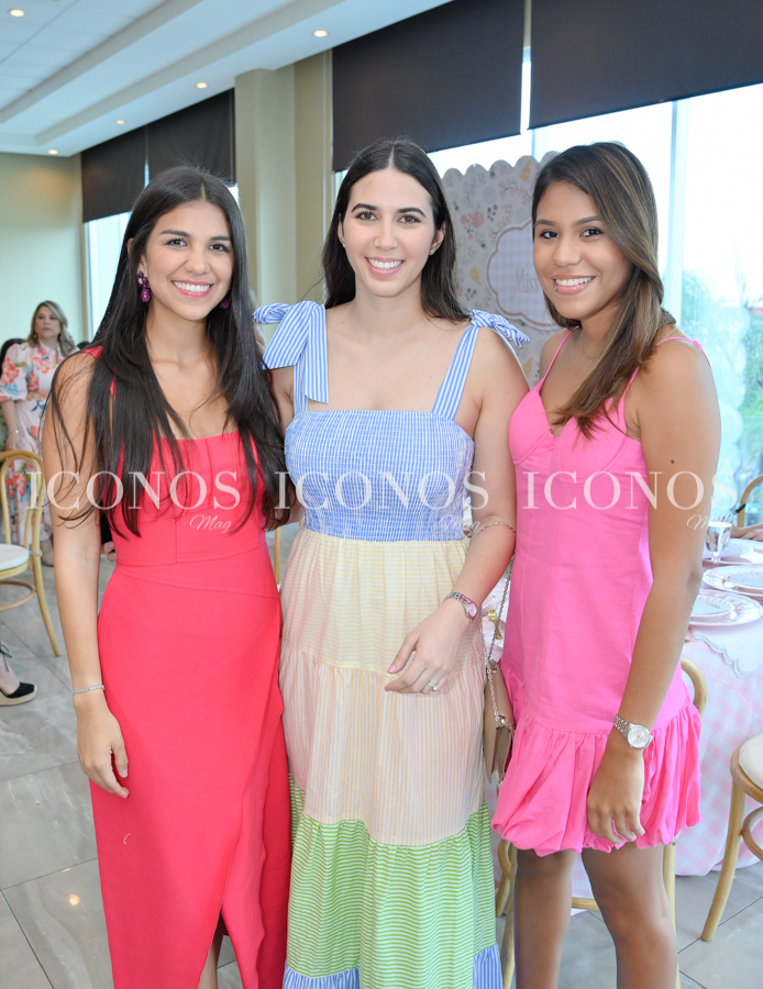 baby shower stephanie marie ewens navarro de ortez