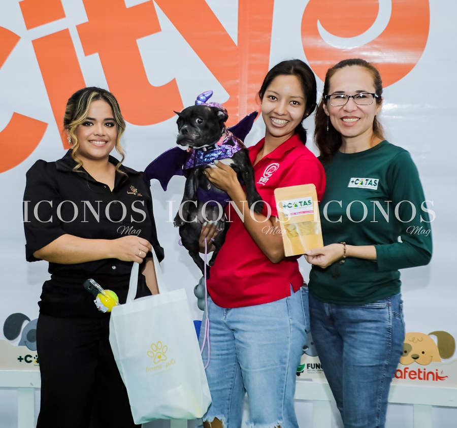 city mall pets san pedro sula hd