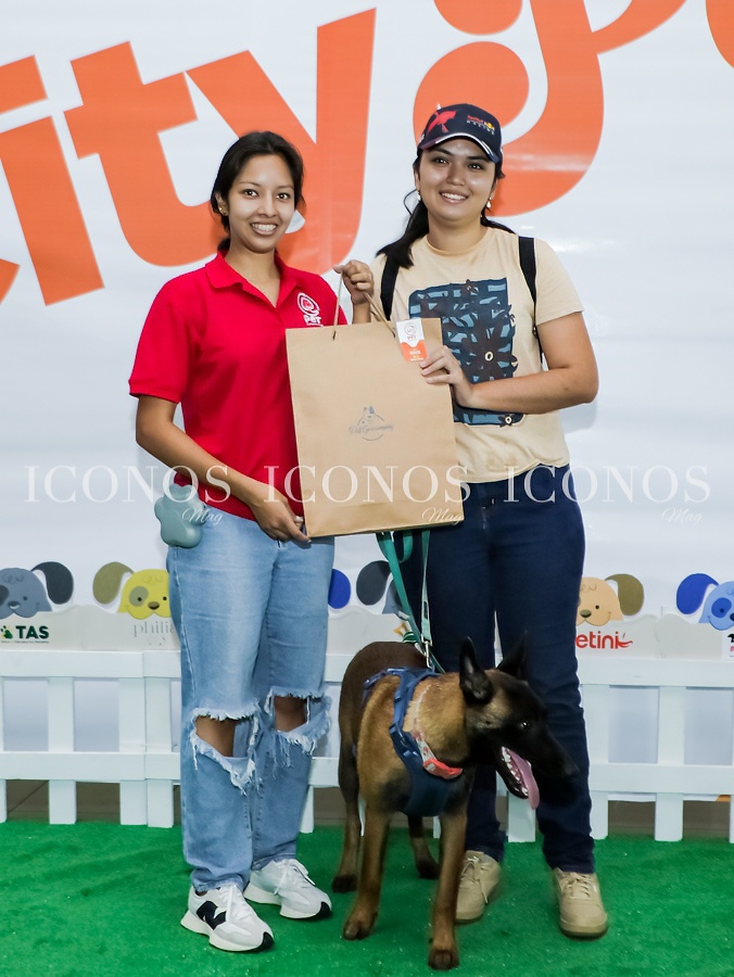 city mall pets san pedro sula hd