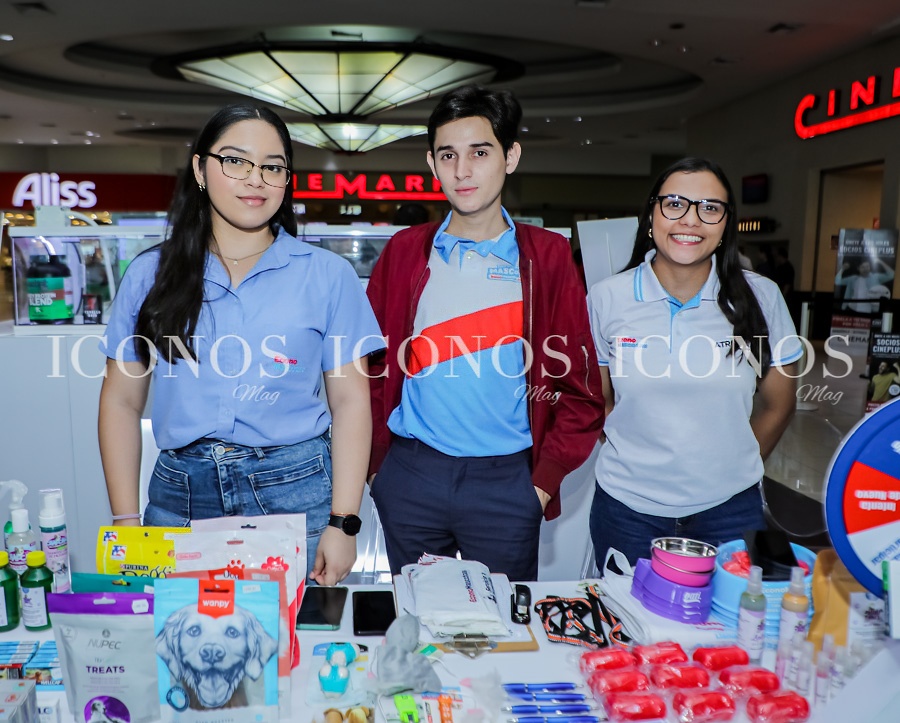 city mall pets san pedro sula hd