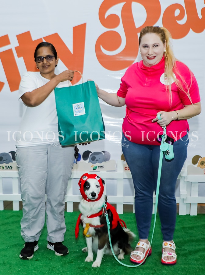 city mall pets san pedro sula hd