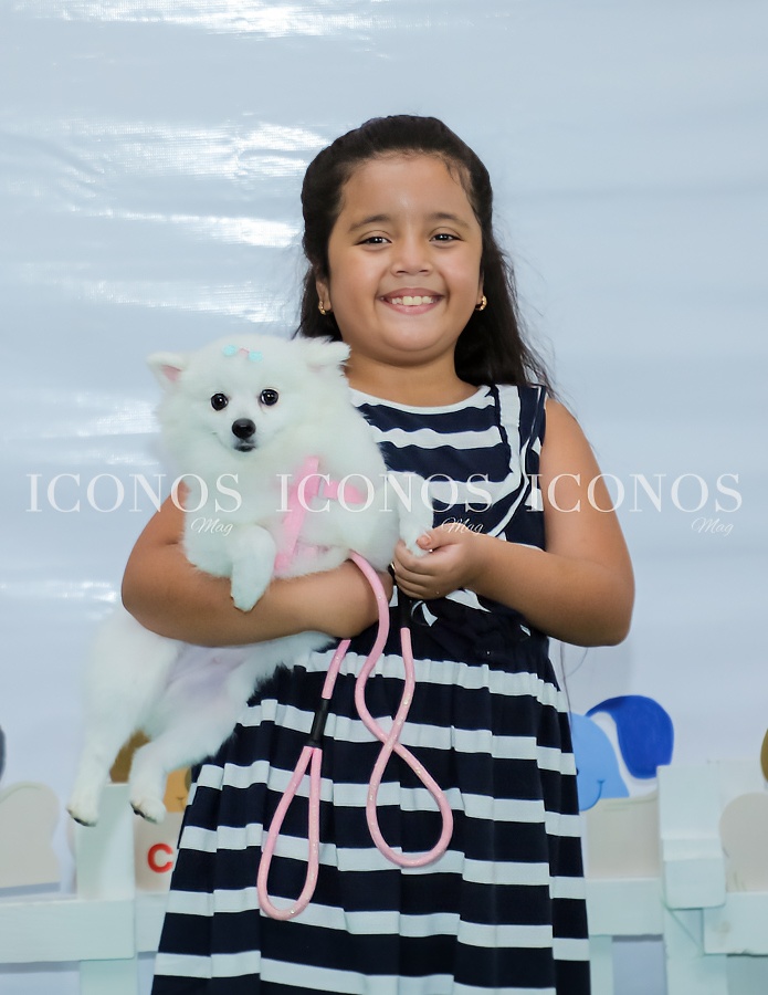 city mall pets san pedro sula hd