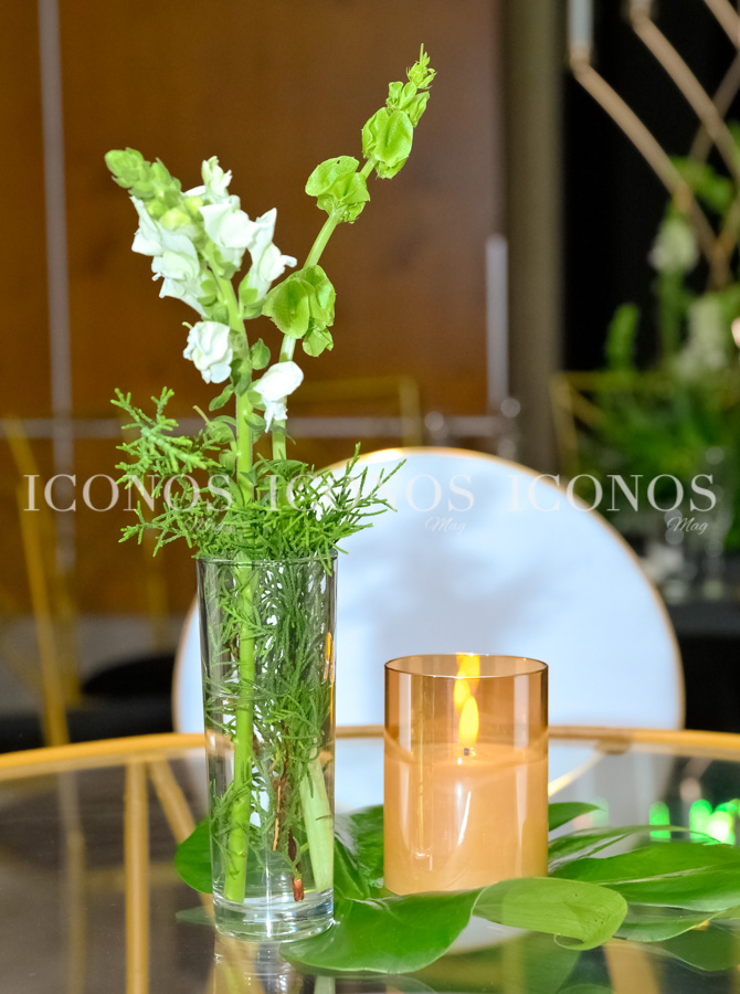 cumpleanos doctor alan francisco murillo