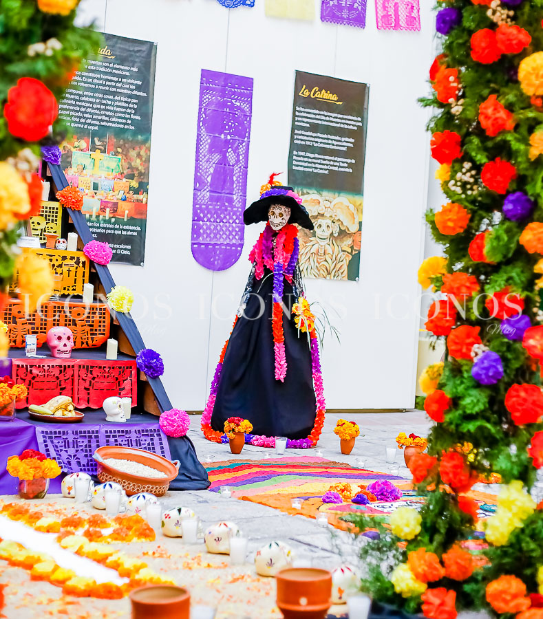 Festival de catrinas 2024 by Museo de Identidad Nacional Tegucigalpa