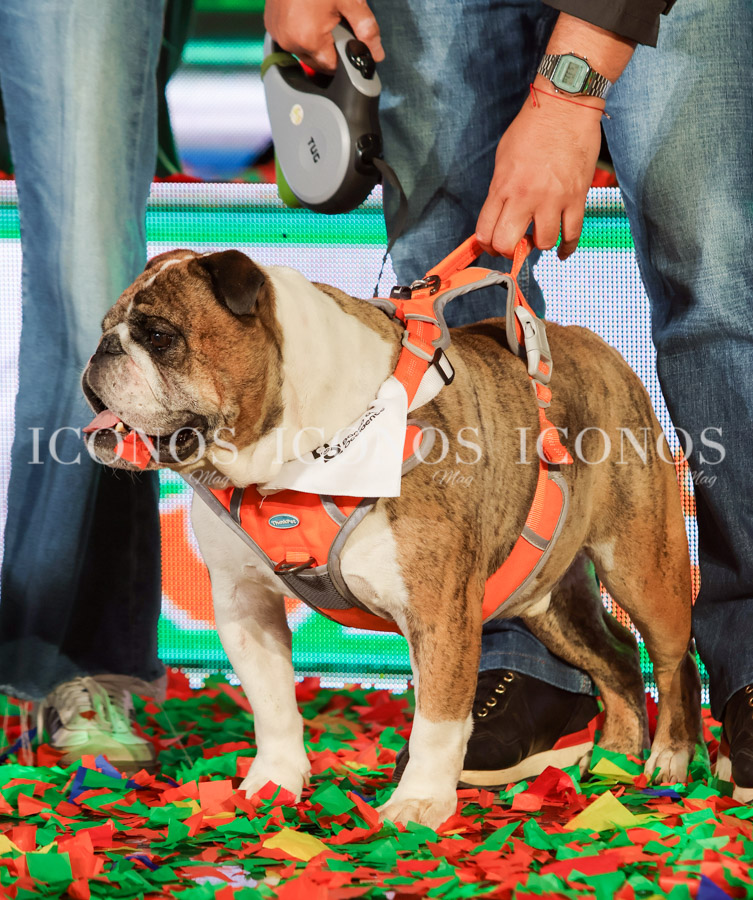 Banco de Occidente Teletón Honduras 2024