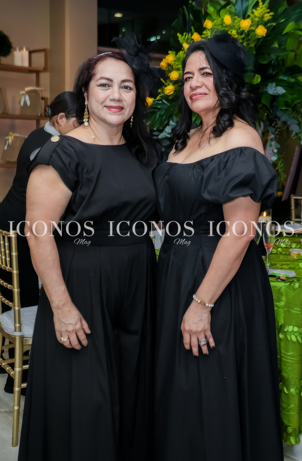 fiesta 50 anos iris leiva ramos
