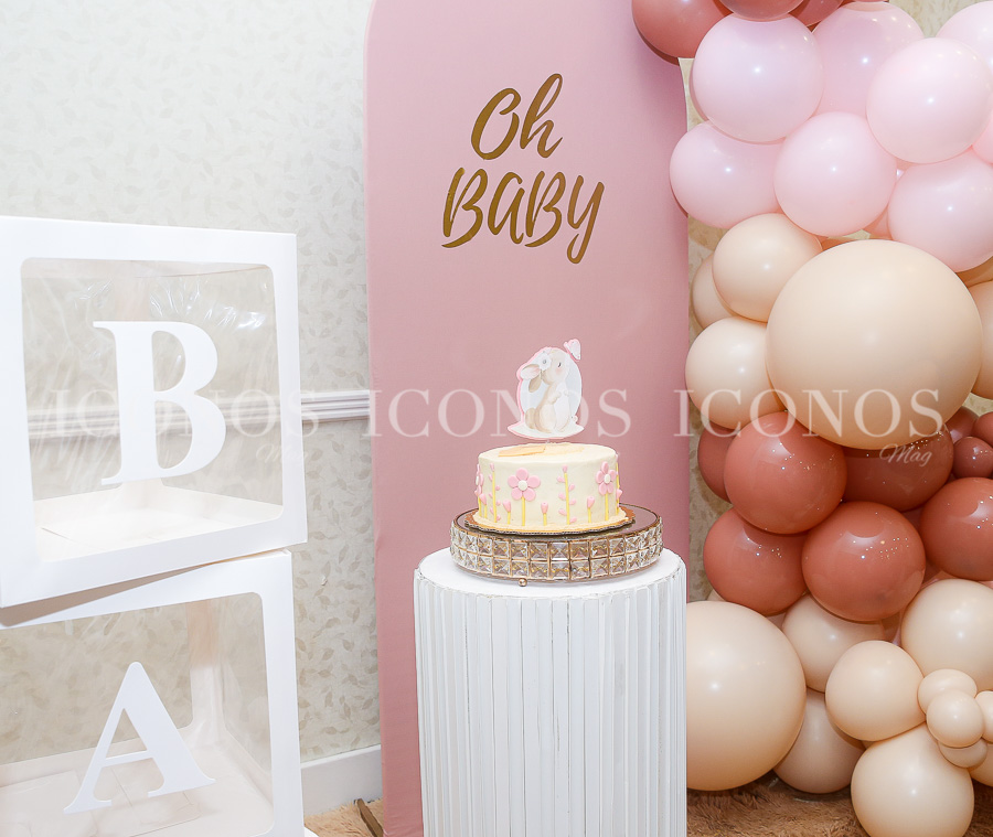 baby shower laritza lizeeth cardenas rodriguez