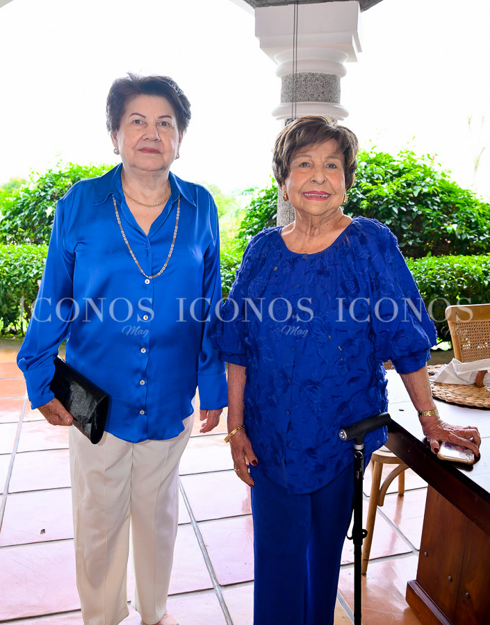 junta directiva 2025 federacion de clubes de arte y jardineria