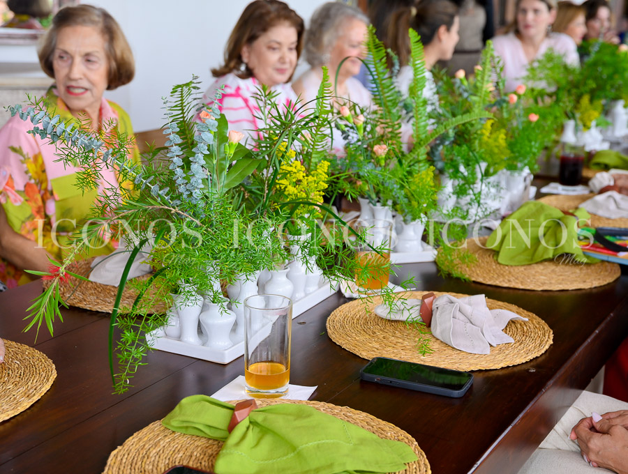 junta directiva 2025 federacion de clubes de arte y jardineria