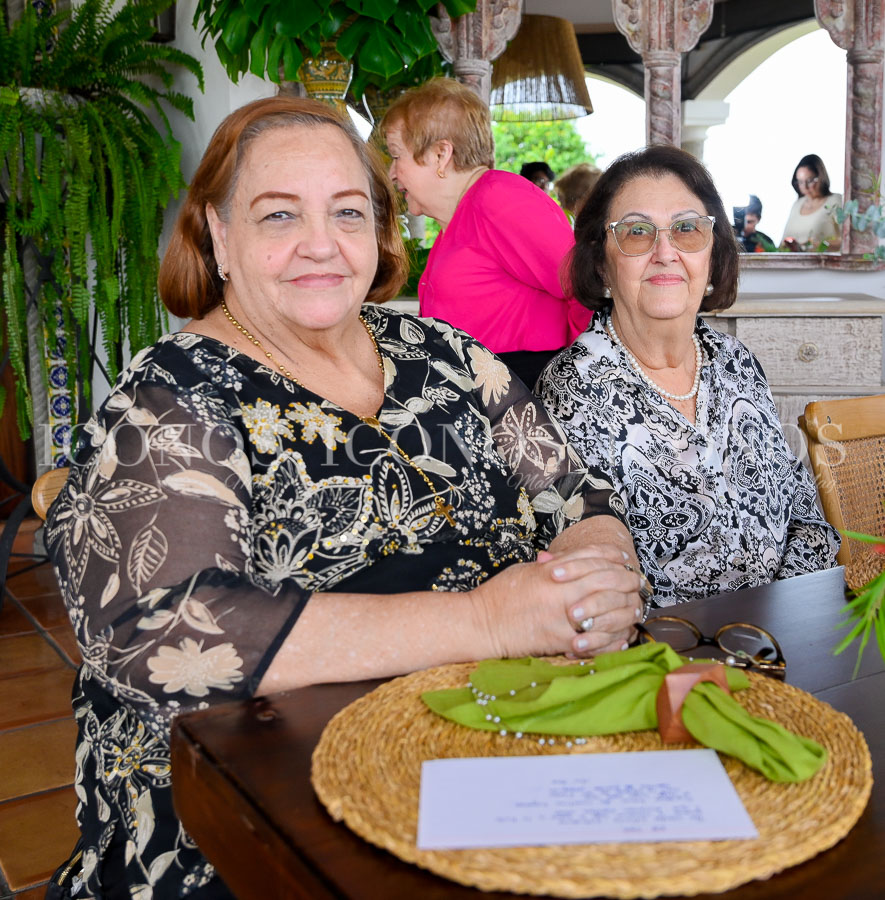 junta directiva 2025 federacion de clubes de arte y jardineria