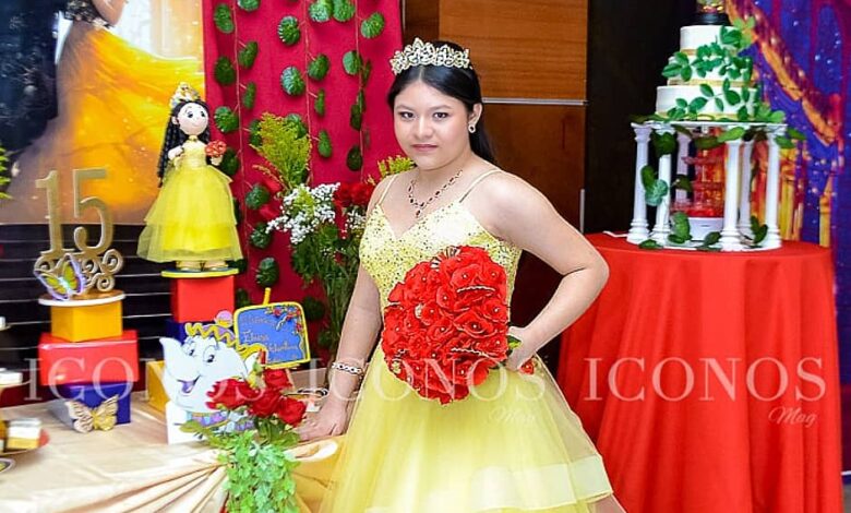 quince anos elois valentina velasquez rodriguez xd (2)