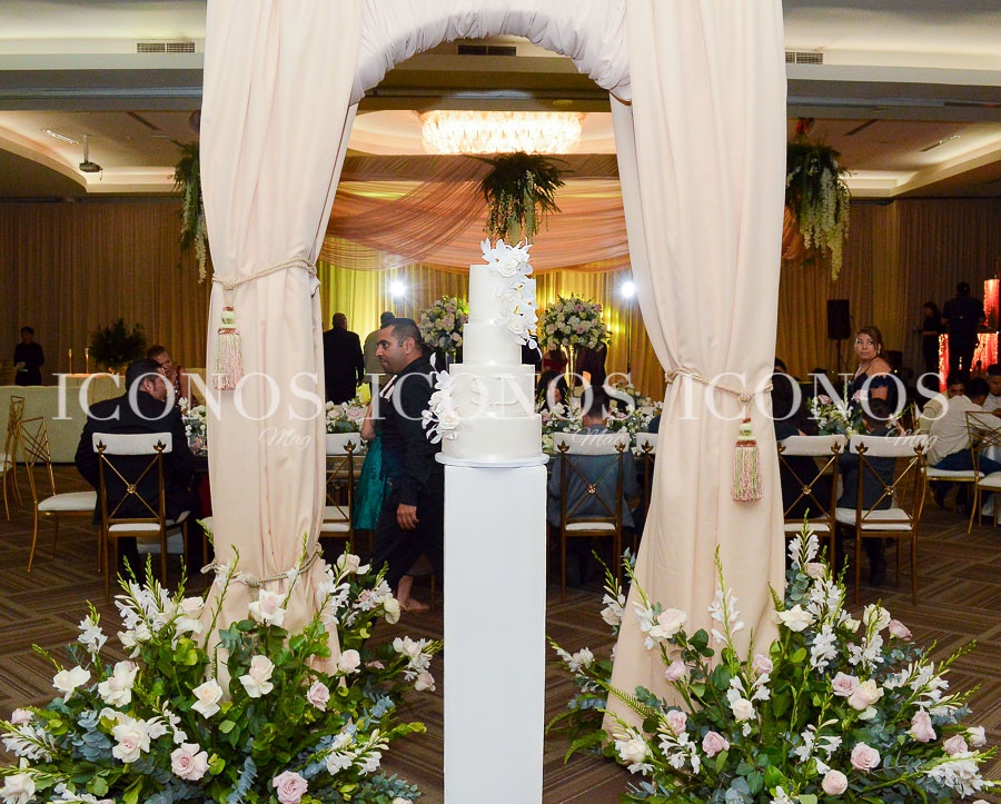 sofia mariela talhami y david sabillon funez