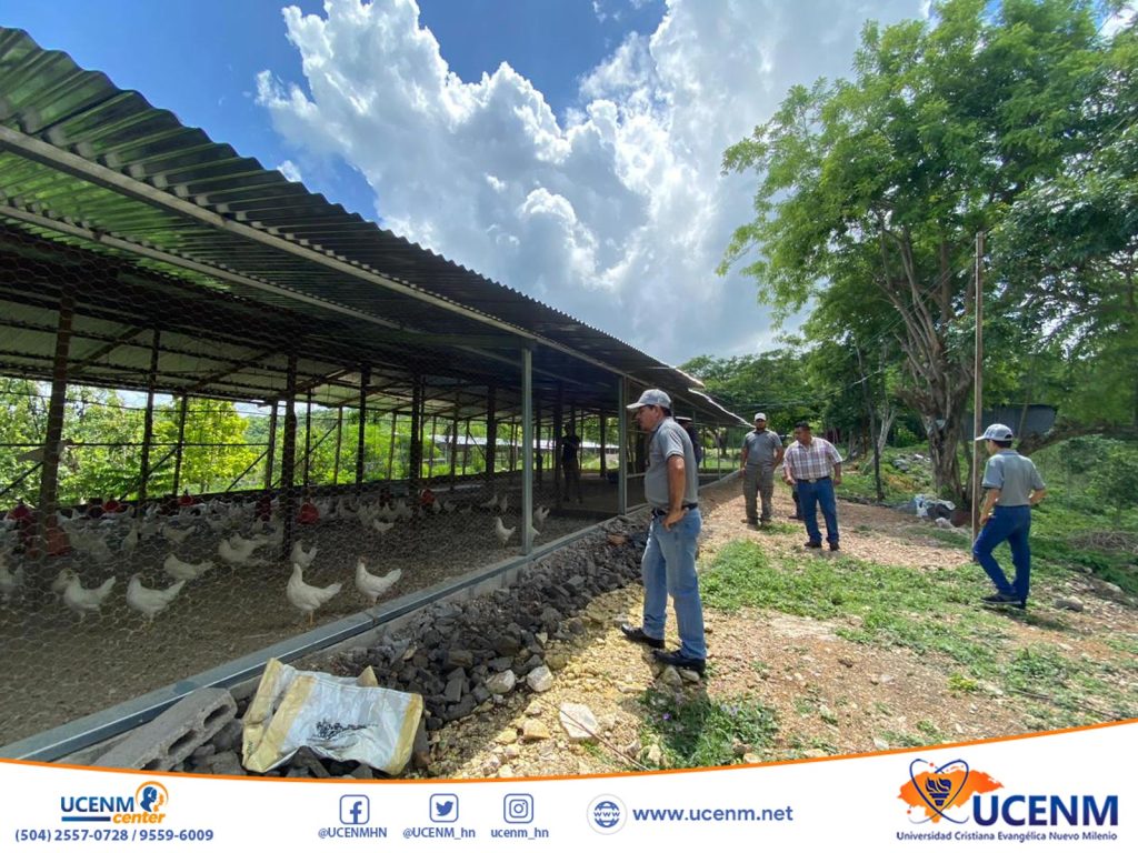 Técnico universitario en producción avícola 2025 by UCENM Honduras