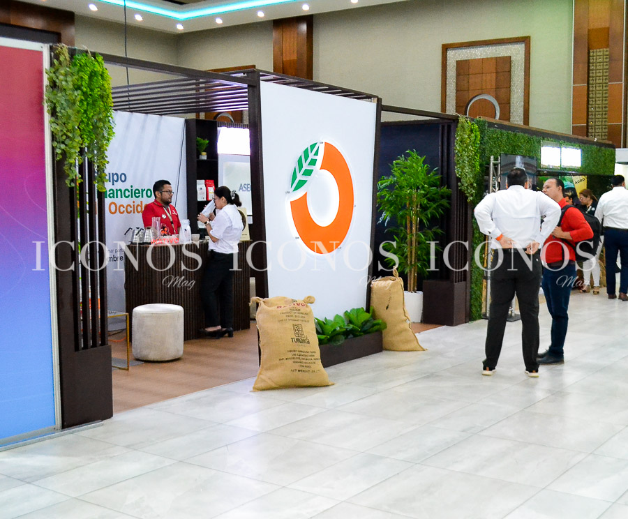cafexpo 2025 by banco de occidente bdo honduras