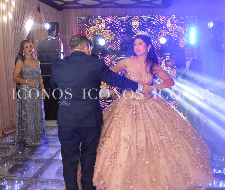 quince anos de sofia herrera grisales
