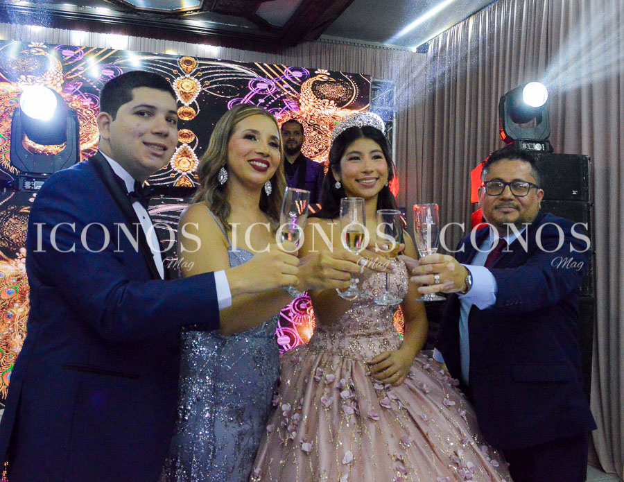 quince anos de sofia herrera grisales