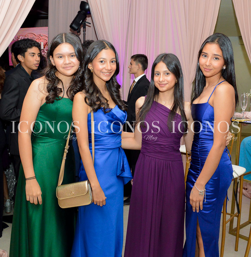 quince anos de sofia herrera grisales