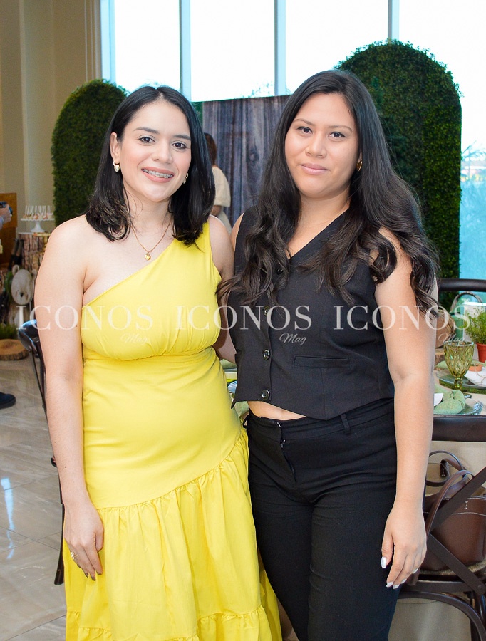 baby shower francia estefania raquel de quesada