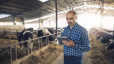 PORTADA Gestión de empresas agropecuarias 2025 UCENM Honduras