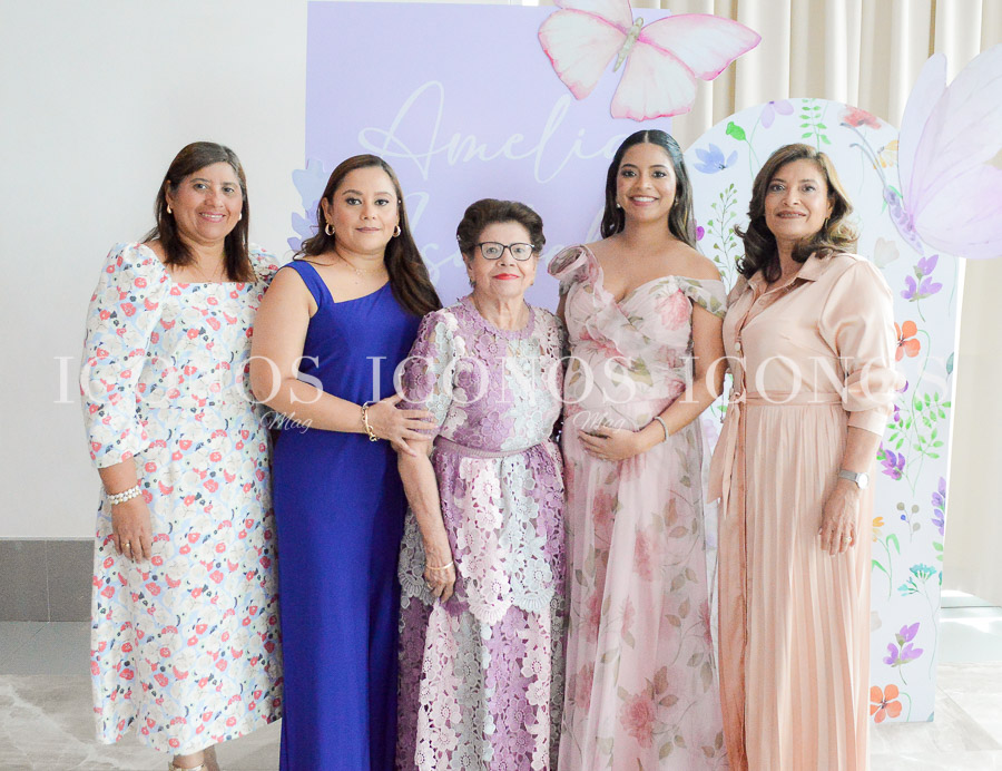 baby shower amelia isabel del valle fiallos