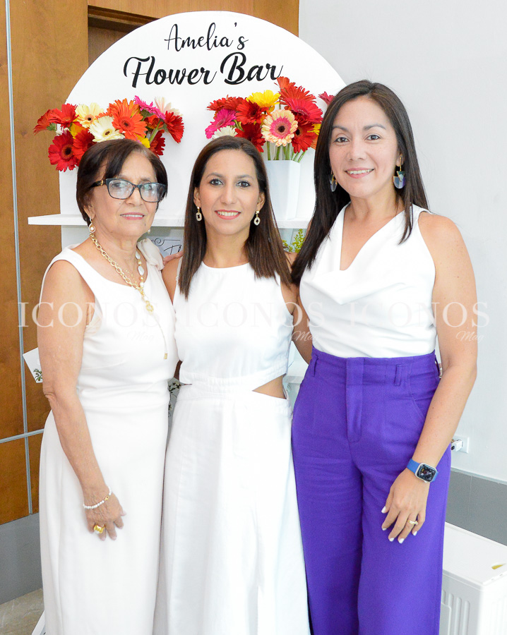 baby shower amelia isabel del valle fiallos