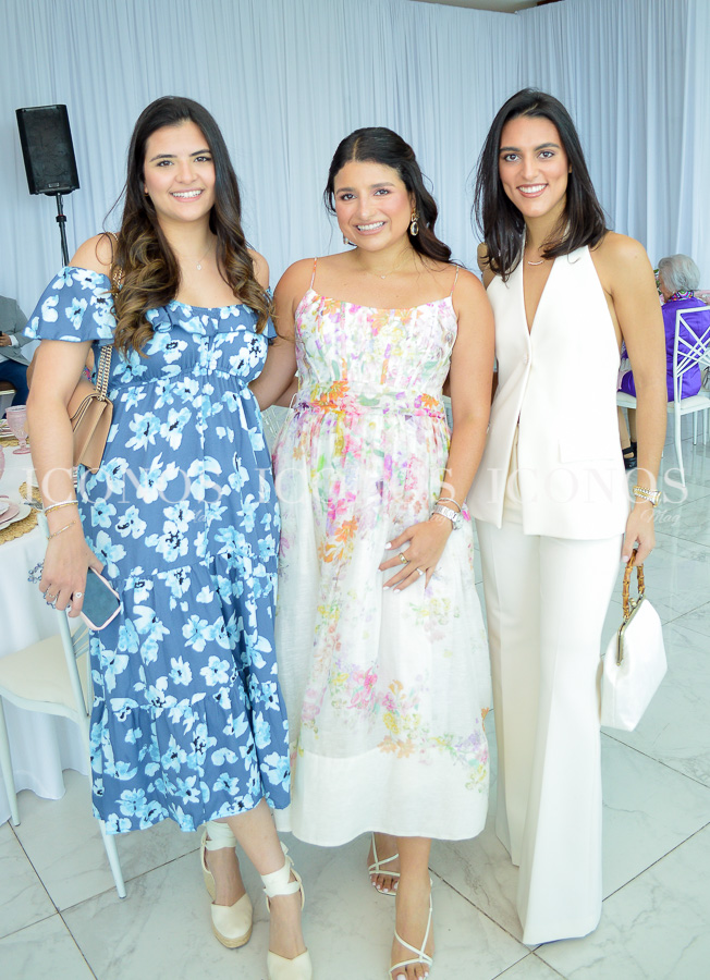 baby shower andrea palacios sikaffy de hernandez