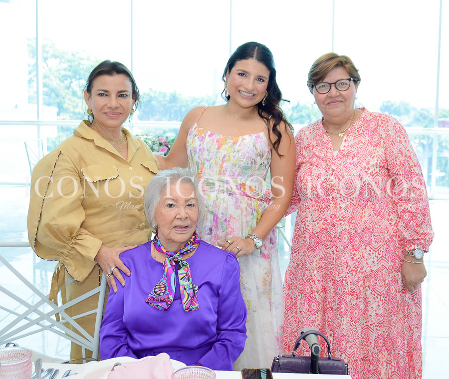 baby shower andrea palacios sikaffy de hernandez