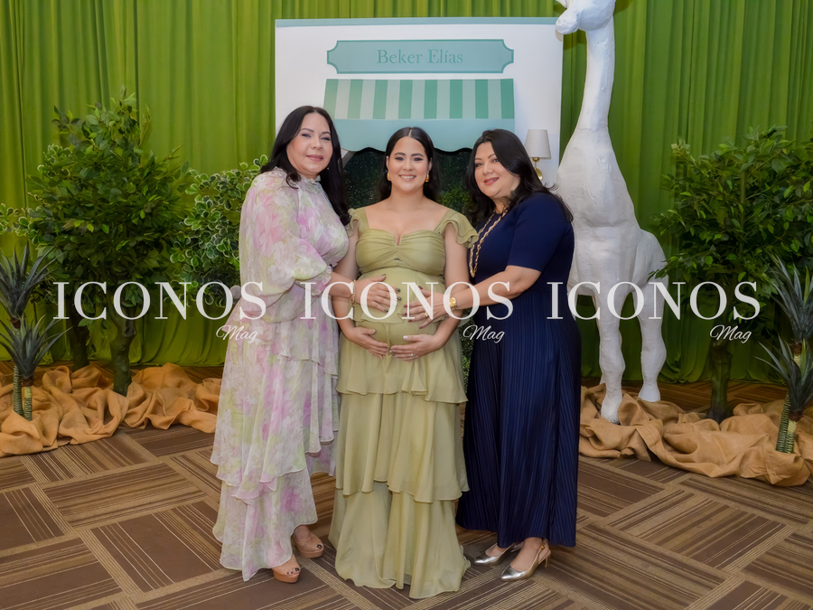 baby shower karol cristina chahin gomez de turcios