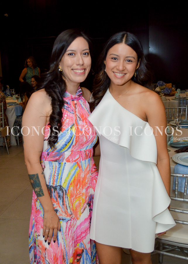 baby shower stephanie nicole pineda viscovich de rodriguez