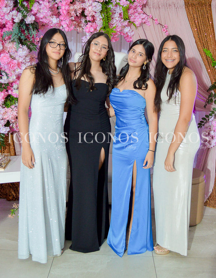 quince años de elisa beatriz cervantes flores