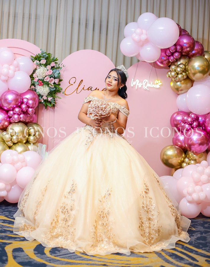 quince anos eleana angely sanchez sosa