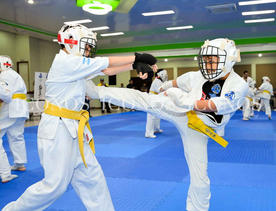 torneo karate kyokushin kan 2025 by grupo flores honduras