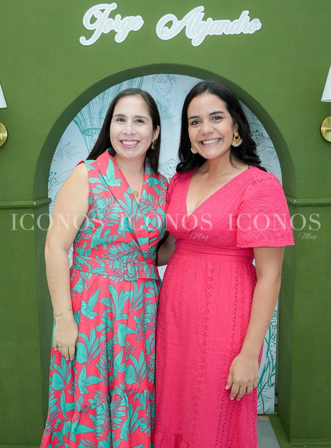 baby shower alejandra andrea alfaro ictech