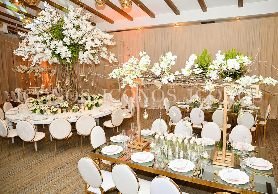 boda giuliana masi y giancarlo bergamin