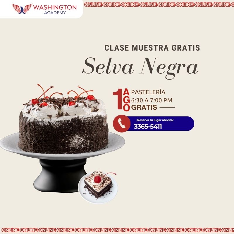 Clases muestras gratis Washington Academy Honduras