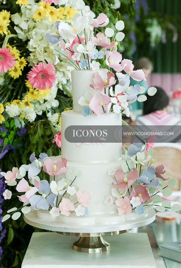 baby shower marcela alejandra salgado pacheco de madrid