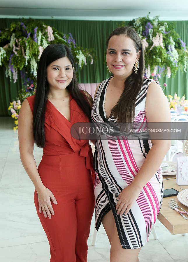 baby shower marcela alejandra salgado pacheco de madrid