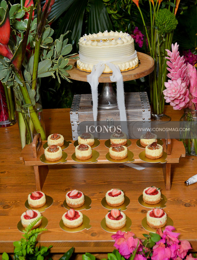 boda stephanie y hernan arriaga donaide