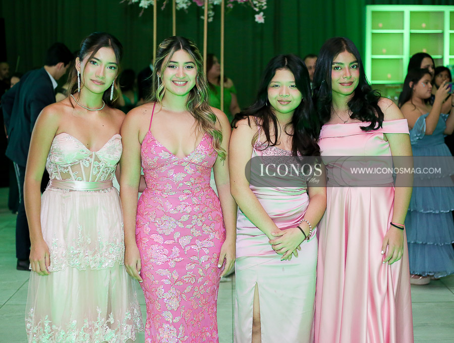 fiesta quince anos heidee melissa dubon meza