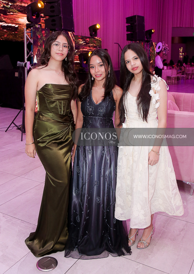 fiesta quince aos melanie nicole amaya lopez