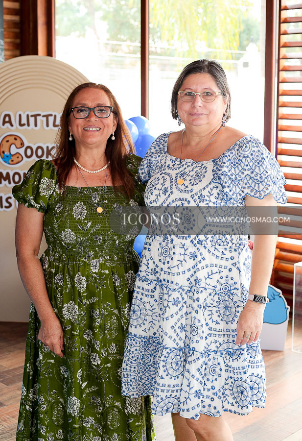 baby shower de deanna melissa martinez meza de fuentes