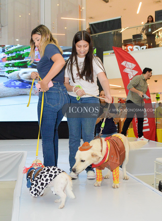 pasarela de mascotas by mega mall honduras