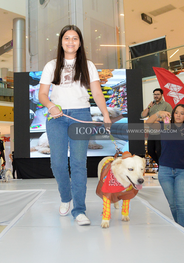 pasarela de mascotas by mega mall honduras
