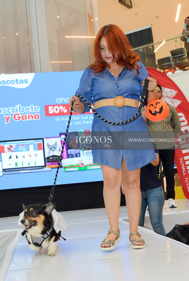 pasarela de mascotas by mega mall honduras
