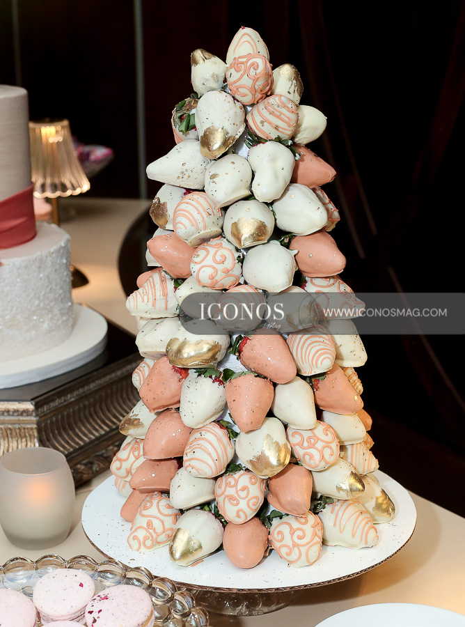 quinceanos mia fernanda reyes ramos