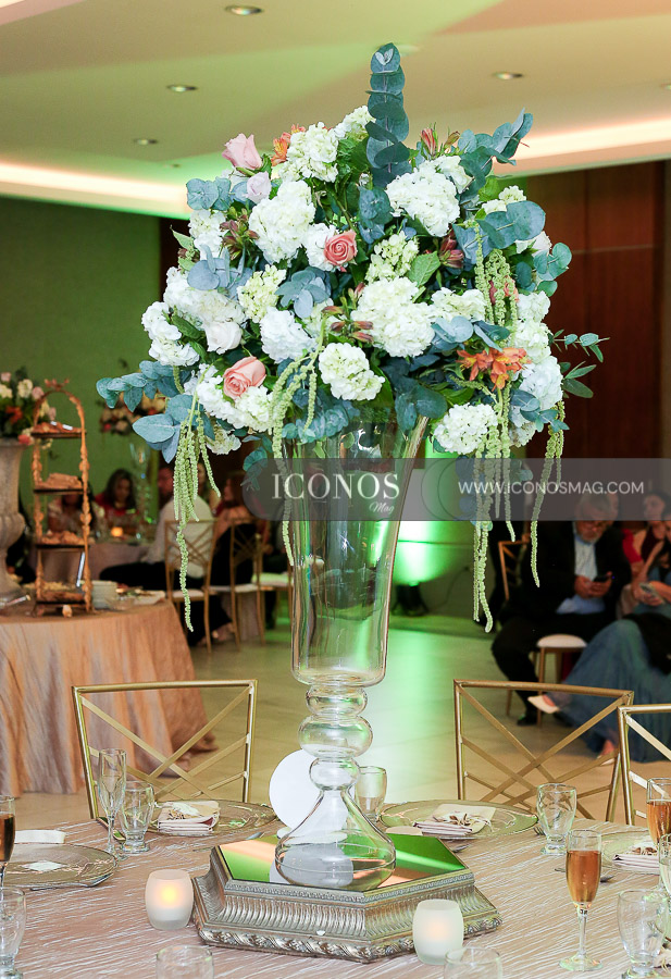 quinceanos mia fernanda reyes ramos